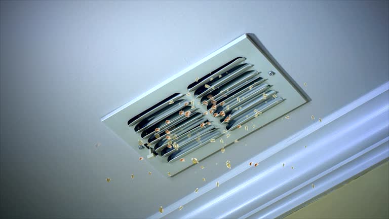 Best Affordable Duct Cleaning Services  in Parker, AZ