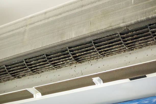 Best Professional Duct Cleaning Services  in Parker, AZ